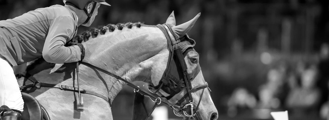 Jumping International de Bordeaux 2024: Join Hartley Attire for an Equestrian Celebration